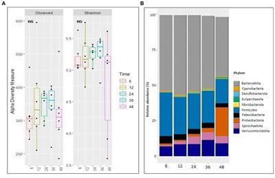 Temporal dynamics of volatile fatty acids profile, methane production, and prokaryotic community in an in vitro rumen fermentation system fed with maize silage